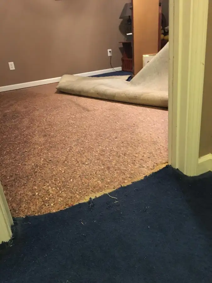 Carpet pad removal revealing water damage during Drying & Dehumidification in Pine Castle