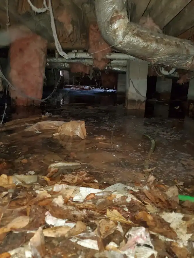 Crawl space flood assessment for Leak Detection & Repair in Pine Castle