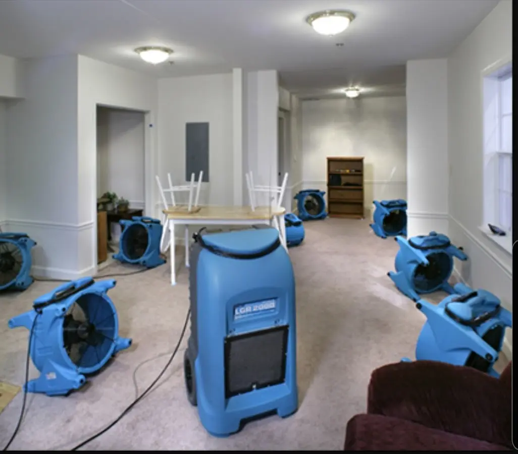 Air movers and dehumidifier setup for Water Extraction & Removal in Pine Castle