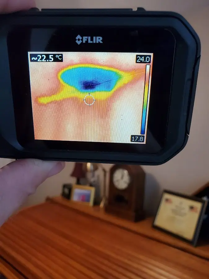 Thermal imaging inspection for water damage in Pine Castle