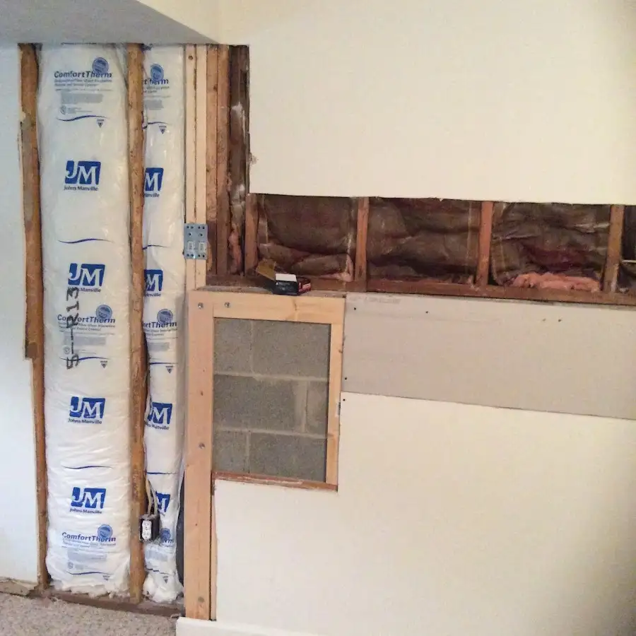 Wall insulation replacement during Odor Removal & Deodorization in Pine Castle